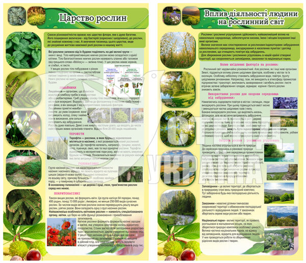 Стенди “Царство рослин та вплин людей на них”