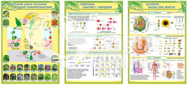 Пластикові стенди для кабінету біології